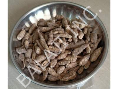 atees-kadwa-atis-meetha-ativisha-aconitum-heterophyllum-wholesale-suppliers