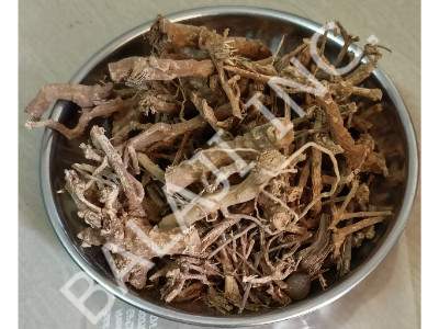 punarva-punarnava-sathi-jadd-Boerhavia-Diffusa-wholesale-suppliers